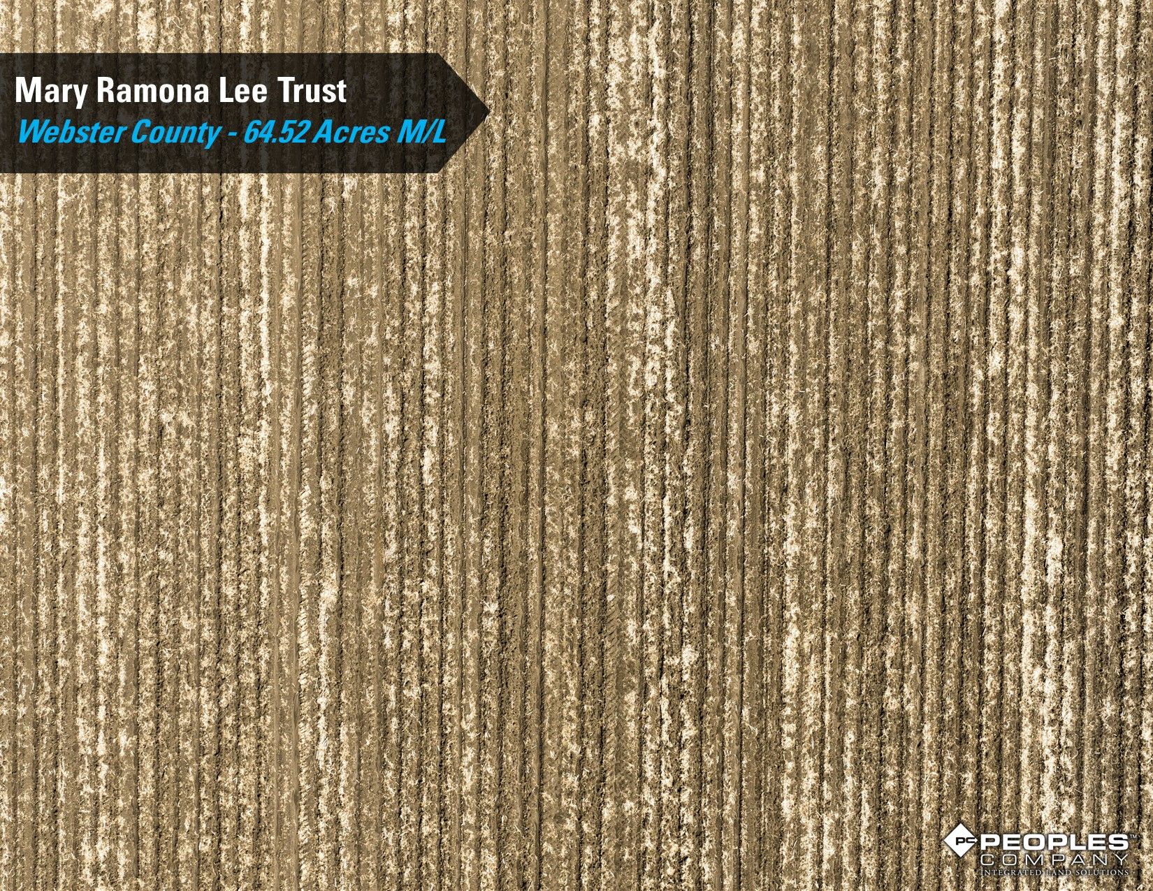 Listing Photo: Webster-County-Iowa-Online-Only-Land-Auction-Lee-Trust-64.52-Acres-Duncombe- (6)